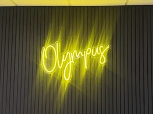 NeonSignsNow.co.uk