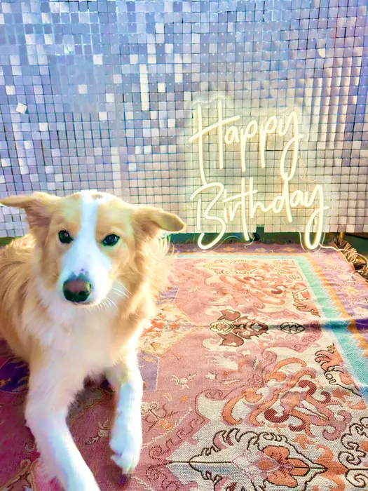 NeonSignsNow.co.uk - Custom Neon Sign