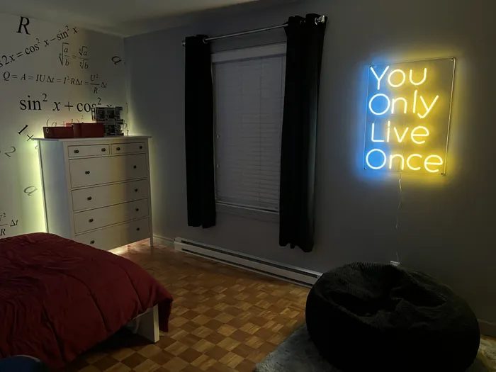 NeonSignsNow.co.uk - You Only Live Once Neon Sign