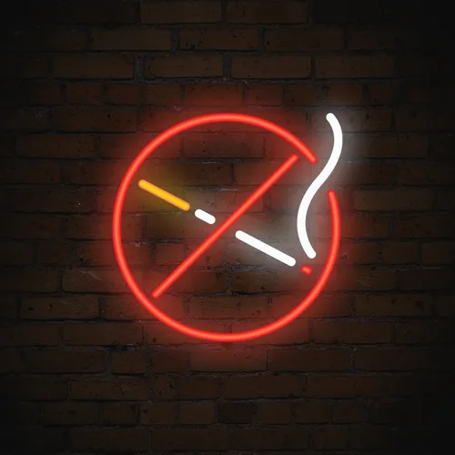 No Smoking Simple Neon Sign - Neon Signs Now - UK