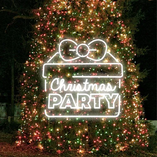 Christmas Party Gift Box Neon Sign - Neon Signs Now - UK